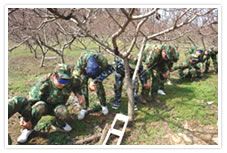 拓展培訓(xùn)——生命之旅